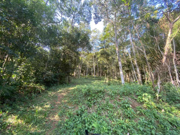 Imagem Terreno à venda em Garopaba-SC, bairro Ressacada, com 172.989,94 m² de área! Venha conferir!