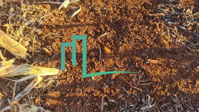 Imagem Fazenda entre Cassia e Passos