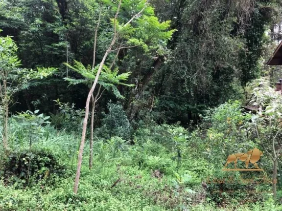 Imagem Terreno à venda, 2450 m² Capivari - Campos do Jordão/São Paulo