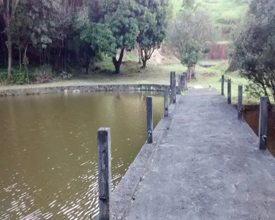Imagem Área para Venda em Atibaia, Itapetinga