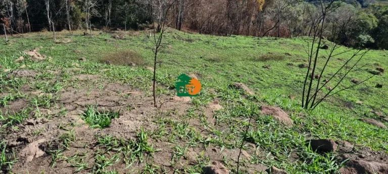 Imagem Chácara para Venda em São Roque, Centro (canguera), 3 dormitórios, 2 suítes, 1 banheiro