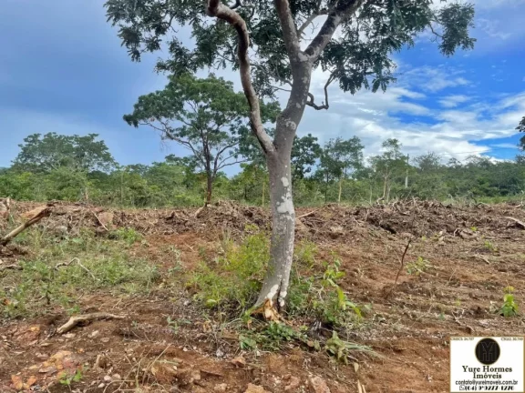 Imagem Chácaras Parceladas com Área Verde e o Rio Pirapitinga