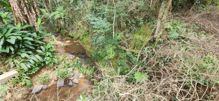 Imagem Sítio a venda em Piracaia com 5 Alqueires