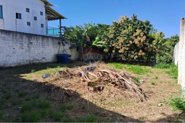 Imagem Terreno documentado em Jacaroá