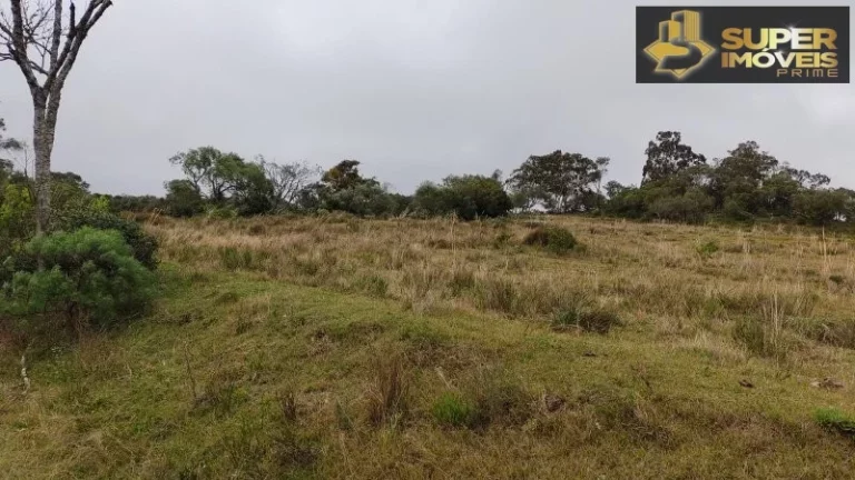 Imagem Fazenda para Venda em Centro Canguçu-RS - 2055