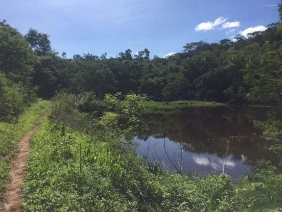 Imagem FAZENDA RURAL em COLATINA - ES, ÁREA RURAL DE COLATINA
