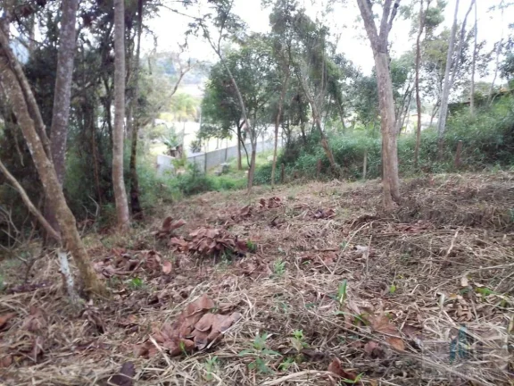 Imagem Chácara em Biritiba Mirim - Aceita Troca e Proposta! Ótima Localização!