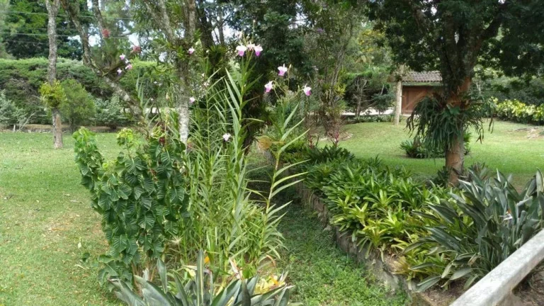 Imagem Casa em Condomínio para Venda em Teresópolis / RJ no bairro Fazenda Boa Fé