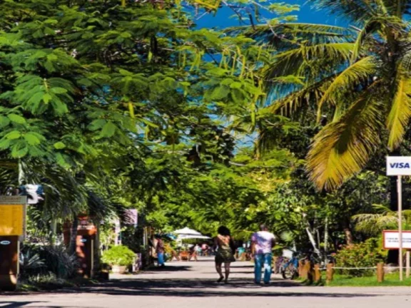 Imagem PRAIA DO FORTE - CONDOMÍNIO PISCINAS NATURAIS: Lotes nos condomínios: Tartarugas 630,00m2 e Jacarandás 544,00m2 - valores R$2.000.000 e R$2.500.000,00