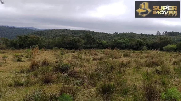 Imagem Fazenda para Venda em Centro Canguçu-RS - 2055