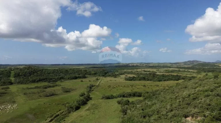 Imagem Fazenda à Venda, 1.449.875 m² em Zona Rural - Anchieta