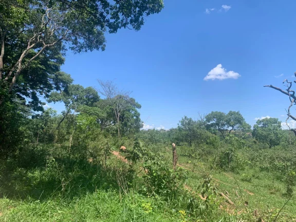 Imagem ÁREA DE 2 HECTARES , EM JUATUBA! IDEAL PARA CONSTRUTORES.