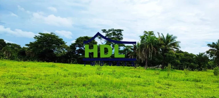 Imagem 61 alqs Top em Pontalina Go