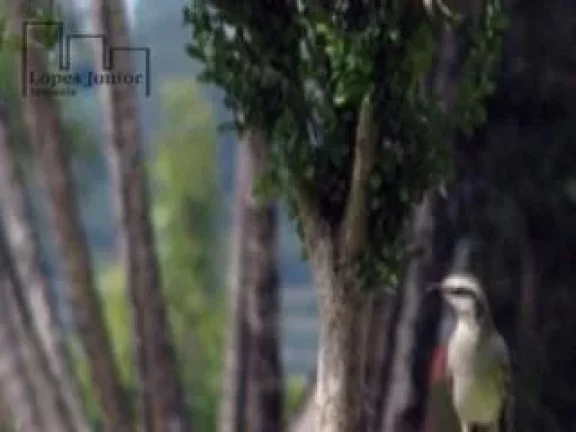 Imagem Terreno à venda, 1000 m² por R$ 270.000,00 - Village Ipanema II - Araçoiaba da Serra/SP