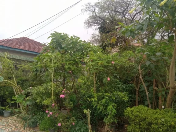 Imagem Terreno à venda, 1060 m² por R$ 1.000.000 - Vila Amorim - Suzano/SP