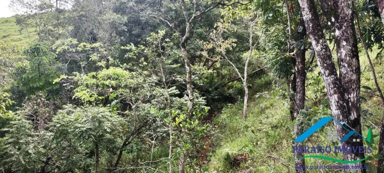Imagem Refúgio Encantador: Sua Propriedade Rural de Sonho em Minas Gerais.