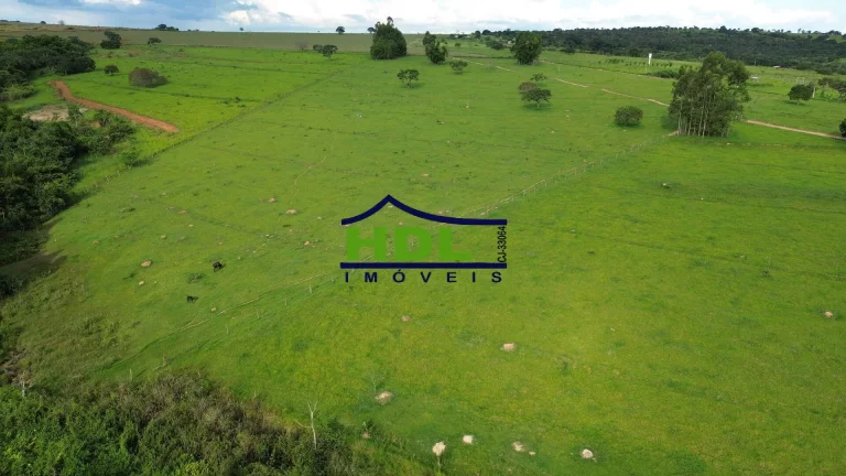 Imagem Chácara Rica dágua 30 kms de Goiânia