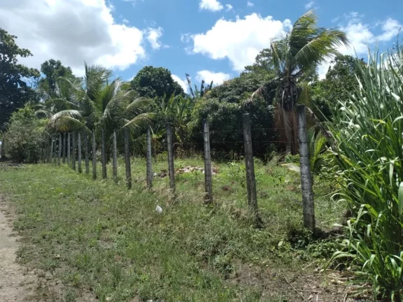 Imagem Terreno de 2.800m² à venda, localizado em Chã de Onça, Paudalho - Pernambuco.