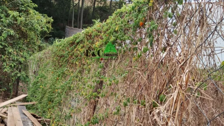 Imagem Terreno em Condomínio para Venda em Americana, Parque São Jerônimo