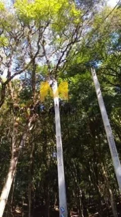 Imagem Chácara, 7000m2, à venda no Recreio da Serra em Piraquara!!!