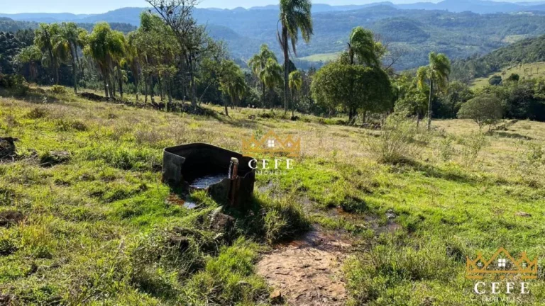 Imagem Chácara - Sítio com 2 Dormitorio(s) localizado(a) no bairro Zona Rural em Três Coroas / RIO GRANDE DO SUL Ref.:1390
