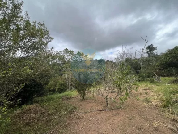 Imagem Área a Venda no bairro Granja Viana - Cotia, SP