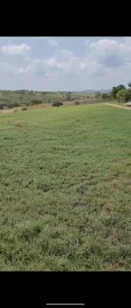 Imagem Excelente Fazenda em Belem Paraíba com 270 hectares