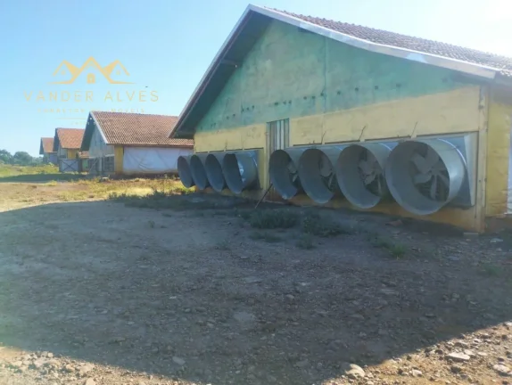 Imagem SITIO COMERCIAL em MARECHAL CÂNDIDO RONDON - PR, Zona rural