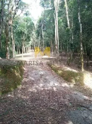Imagem Chácara à venda no Recreio da Serra em Piraquara!!!