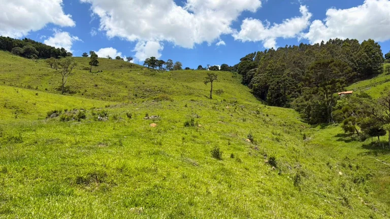 Imagem Área exclusiva com vista para a Mantiqueira