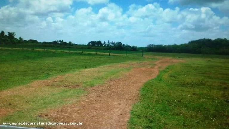 Imagem Fazenda para Venda em Extremoz, capim -extremoz, 3 dormitórios, 1 suíte, 2 banheiros, 6 vagas