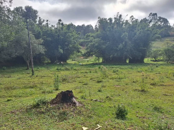 Sitio à venda, com 1.6 hectares, córrego natural, no Espigão, Viamão/RS