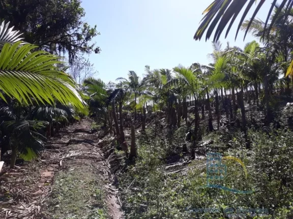 Imagem Terreno - Em rua, para Venda em São Francisco do Sul/SC