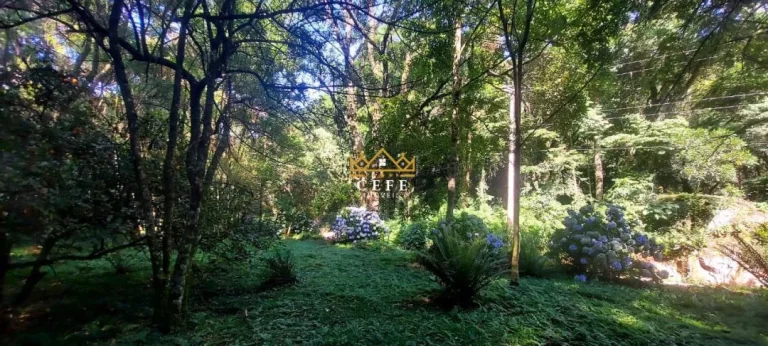 Imagem Chácara - Sítio com 2 Dormitorio(s) localizado(a) no bairro Carapina em São Francisco de Paula / RIO GRANDE DO SUL Ref.:1539