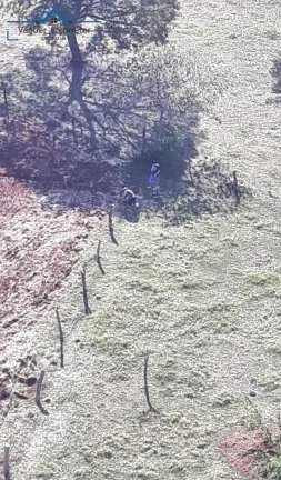 Imagem Chacara de 1,5 alqueires à venda localizado no Distr. de São Roque Sta Helena -