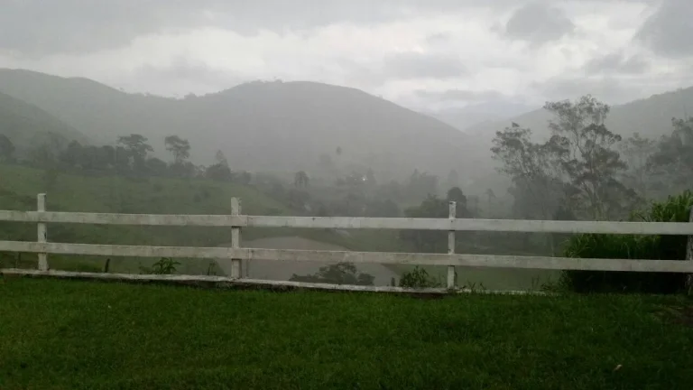 Imagem VENDO FAZENDA FICA A 25 KM DO CENTRO DE ANGRA 116 Hectares, MUITA ÁGUA