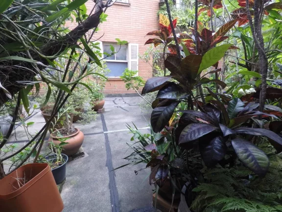 Foto do imóvel Apartamento com 2 Quartos à Venda, 268 m² em Campos Elíseos - São Paulo