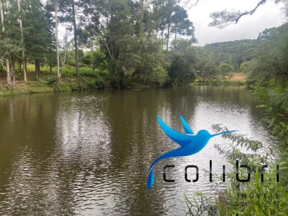 Imagem Chácara com 4 Quartos à Venda, 72.600 m² em Pinheiro Ocado - Agudos Do Sul