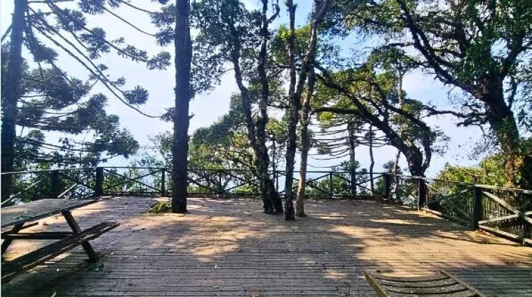 Imagem Arquitetura Autoral e Natureza Intocada: Um Refúgio Ímpar em Gonçalves