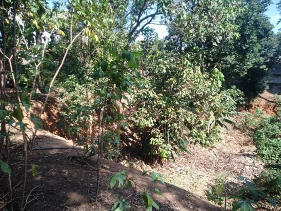 Imagem Terreno à venda, 1078 m² por R$ 5.000.000,00 - Centro - Poá/SP