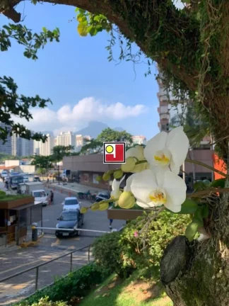 Imagem Vendo duplex Barramares, frontal mar, vista espetacular, original 4Q, 303m², R$4.100.000, 3 vg, portaria 24h, tênis, piscinas, churrasqueiras, futebol