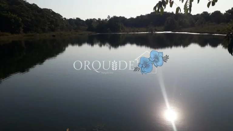 Imagem Chácara à venda em Rio Verde-GO: Oportunidade imperdível na Área Rural de Rio Verde!