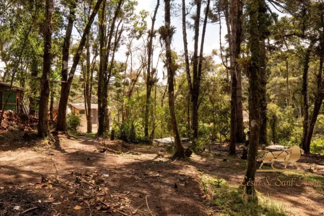 Imagem Terreno com 3132m a venda em Campos do Jordão