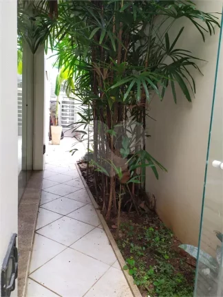Imagem Casa à venda com 4 quartos, sendo 2 suítes, em Butantã, São Paulo - SP