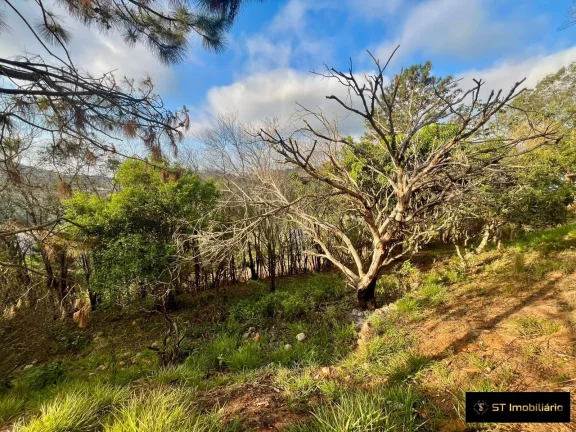 Imagem Chácara à Venda com 5.100m² em Mairiporã - R$770.000! Aceita Financiamento!
