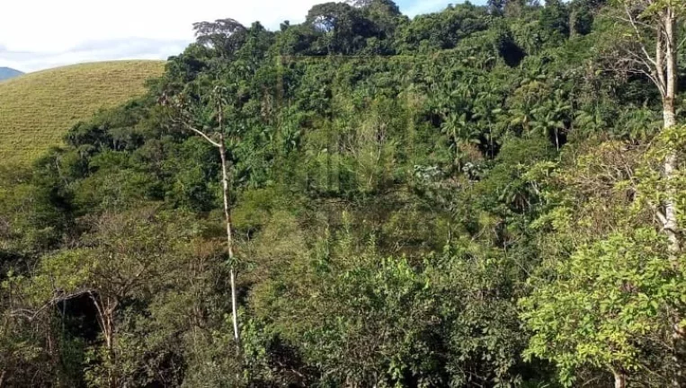 Imagem Chacara em São Francisco Chavier