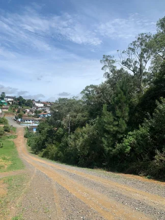 Imagem Area a venda em Rio Negrinho SC