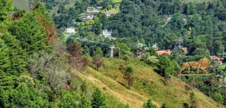 Imagem Apto Morro do Elefante