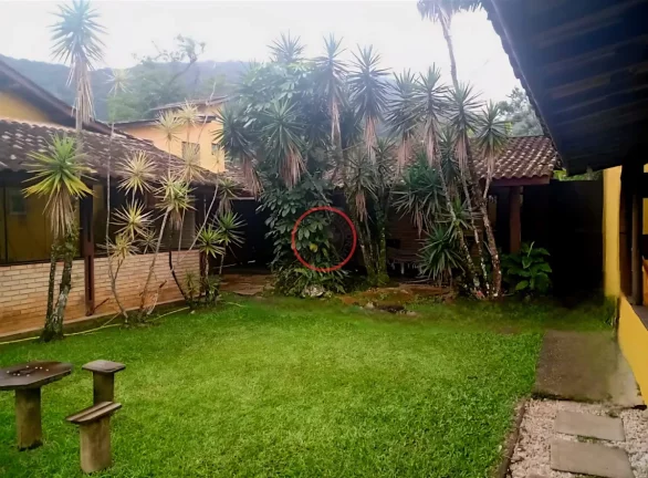 Imagem POUSADA BEM LOCALIZADA COM 22 QUARTOS 2 CASAS DE APOIO PARA RECEPÇÃO,CAFE E JOGOS,2 PISCINAS SAUNA AREA DE ESTACIONAMENTO