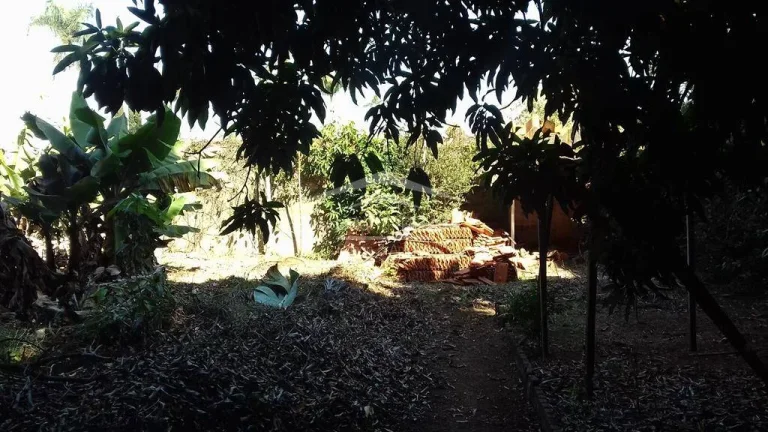 Imagem Chácara residencial / comercial no Bairro Santa Teresinha, Paulínia/SP. 

Você que busca um terre...